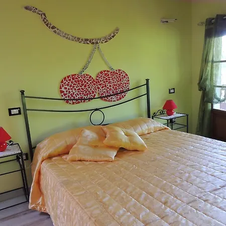 Konukevi Il Cipresso Del Gallo